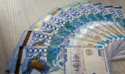 Түркістан облысында 1 млрд теңгеге жуық субсидия жымқырылған