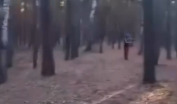 «Бурабайды бөліп алды ма?»: Орманды қоршап, құрылыс бастағандар халықтың ашуын тудырды