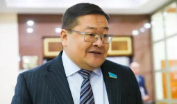 Байларға салық көбейіп, кәсіпкерлерге тексеру азая ма?