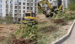 Ағашты отап, жерді сатқан: Алматыдағы «Нұркент» тұрғындары дабыл қағуда