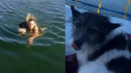 Өскеменде итті құтқару үшін мұздай суға түскен жігіт жұртты тәнті етті (ВИДЕО)