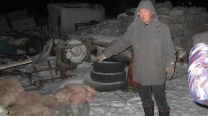 Қарағанды облысында полиция капитаны ақбөкендерді қырып тастаған