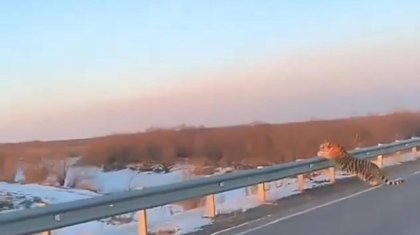 Казахстан намерен ввести временный запрет на вывоз дизтоплива