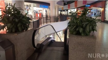 Демалыстағы келеңсіз жайттан кейін «Хан шатырдағы» пальмалар алынып тасталды