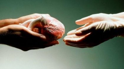 Адам органдарын алу үшін заңға сәйкес рұқсат алудың қажеті жоқ - министр Біртанов