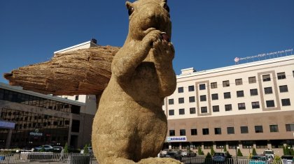 «Өртейміз деген шешім бұрыннан болған»: Алматыдағы алып тиін бұзылады