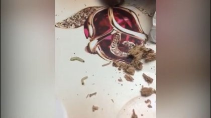 «Ужас қой мынау!»: кәмпиттердің ішінде құрттар өріп жүр (ВИДЕО)