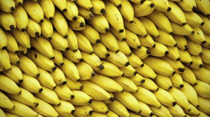 АШМ мемлекеттік инспекторлары елімізге Ресей өнімдерін кіргізбей қойды