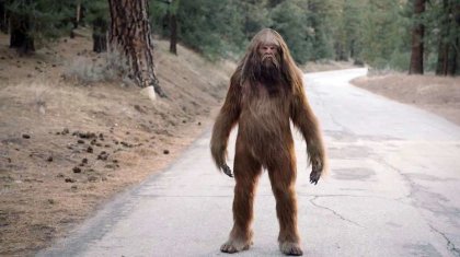 Алтайда кісікиік (қар адамы) әлі де бар