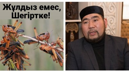 «Парламентте ғана шегірткелер жоқ, онда отырғандар үнсіз кесірткелер сияқты» - айтыскер