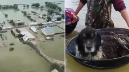 «Мүмкін, енді бұл жерде ауыл болмайды...» - Мақтарал ауданындағы апатқа қатысты өлең