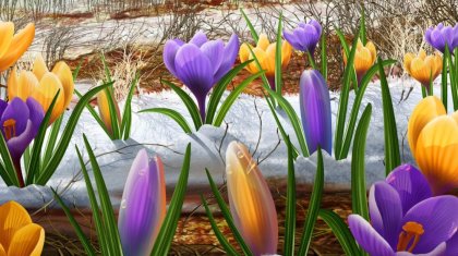 Астанада Наурыз мейрамы тойланбайтын болды