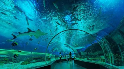 Астанадағы океанариумның банкрот алдында тұрғаны рас па?