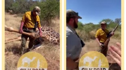 «Жираф атып алған»: желіде Африкада аң аулап жүрген қазақтардың ВИДЕОсы пайда болды