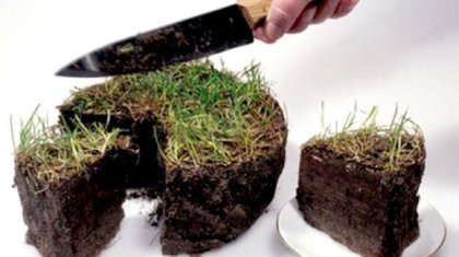 «Босалқы жер» деген әңгіменің артында қазақ жерін саудаға салу саясаты жатыр» - қоғам белсендісі