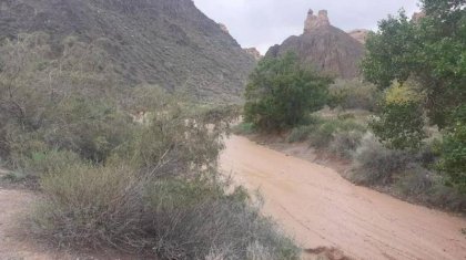 Шарын шатқалындағы қайғылы оқиғаға қатысты қылмыстық іс қозғалды