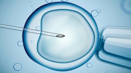 Қандай сырқаты бар әйелдерге «эко» жасатуға болмайды