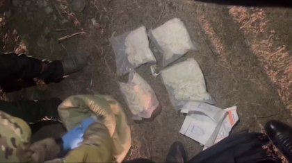 Алматы облысында есірткі жеткізу арнасының жолы кесілді