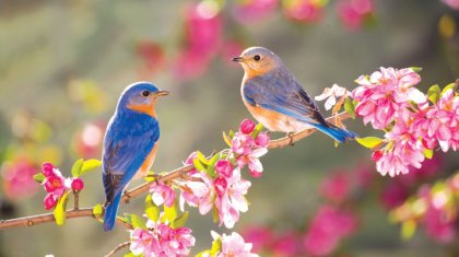 Бүгін - Халықаралық әйелдер күні мерекесі