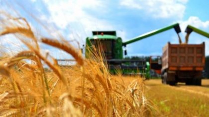 Ресей астығын әлем жеңілдікпен де алмай жатыр