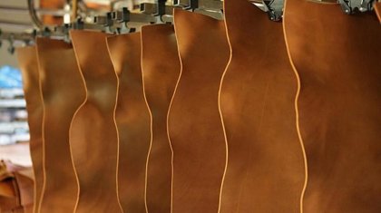 Еліміз қажет етпей қоқысқа тастайтын теріден түріктер желатин өндірмек