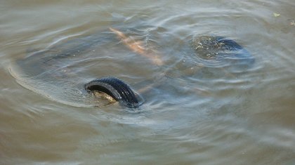 Су қоймасына көлік құлап, жолаушылар мерт болды