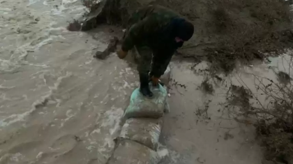 Бәйдібек ауданында 36 мал тасқын су астында қалды