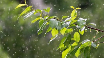 Бүгін ауа райы қандай болады