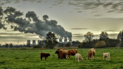 Еліміздің үш қаласы ауылға айналмақ