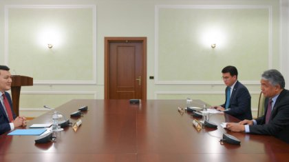 Мемлекеттік кеңесші ТҮРКСОЙ ұйымының бас хатшысымен кездесті