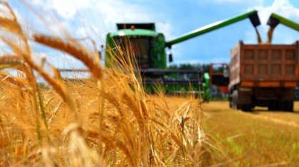 Бүгін - ауыл шаруашылығы қызметкерлерінің күні