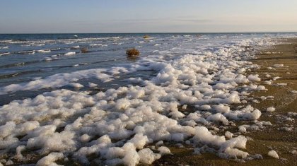 Қазақстан Халықаралық Аралды құтқару қорына төрағалық етеді