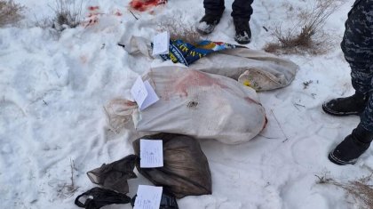 Қызыл кітапқа енген жануардың тушасы табылды