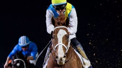 «Тұлпар емес, бұл - арыстан»: Танымал сәйгүлік Кабирхан туралы ән жарық көрді