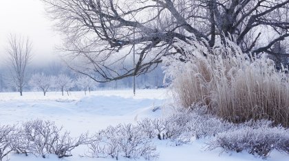 45 градусқа дейін аяз: Синоптиктер қазақстандықтарға ескерту жасады