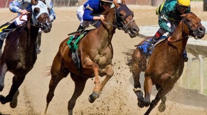 Атырау облысы 54,5 млн теңгеге бәйге өткізбекші