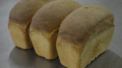 «Нанның бәрі қоқыста жатады»: Депутат нан бағасын 500 теңгеге көтеруді ұсынды