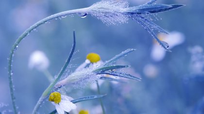 Қазақстанның бірнеше өңірінде дауылды ескерту жарияланды