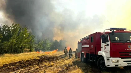 14 адам қаза тапқан «Семей орманындағы» өртке кінәлілер 7 жылға сотталды