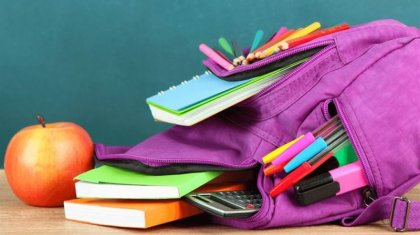 «Бірде-бір дамыған елде мұндай пәндер жоқ»: Депутат мектеп бағдарламасына шүйлікті