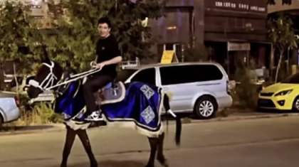 Қытайдағы қазақтар Айқын Төлепбергенге ат мінгізді (ВИДЕО)