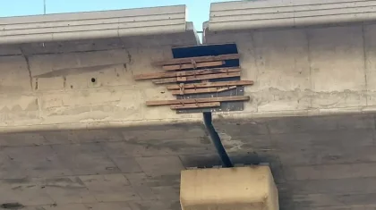 Желіде Астанада ағашпен жамалған LRT тірегінің фотосы тарады