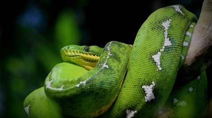 2025 жыл қандай болмақ?