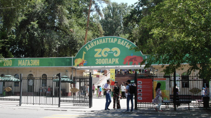 «Сұлу коттедждер салынатын секілді...»: депутат Алматыдағы Зообақтың көшірілетінін айтты