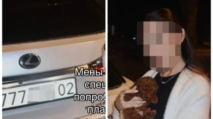 «Әкем нөмірімді базадан жасырып қойған»: Алматылық қыз полицияның айыппұл сала алмайтынын айтты