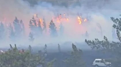 «Жағдай ерекше бақылауда»: Баянауылда орман өртеніп жатыр (ВИДЕО)