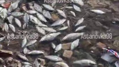 Астанадағы ботаникалық бақта балықтар жаппай қырылып жатыр