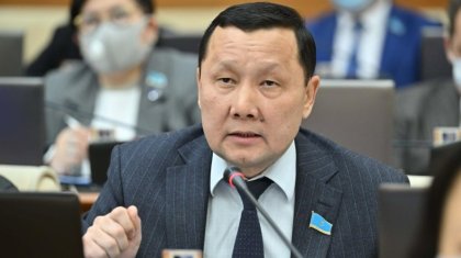 «Жеке сот орындаушылары кәсіпкер сияқты, ақша түсетін жерде жүреді». Депутат алимент туралы айтты