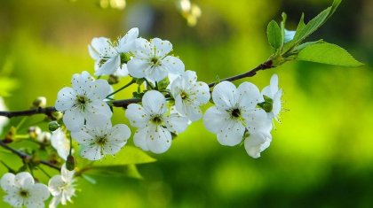 Мамыр айында қазақстандықтар қанша күн демалады