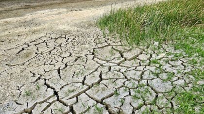 Мамырда жауын-шашын азаяды: Құрғақшылық қаупі бар өңірлер аталды